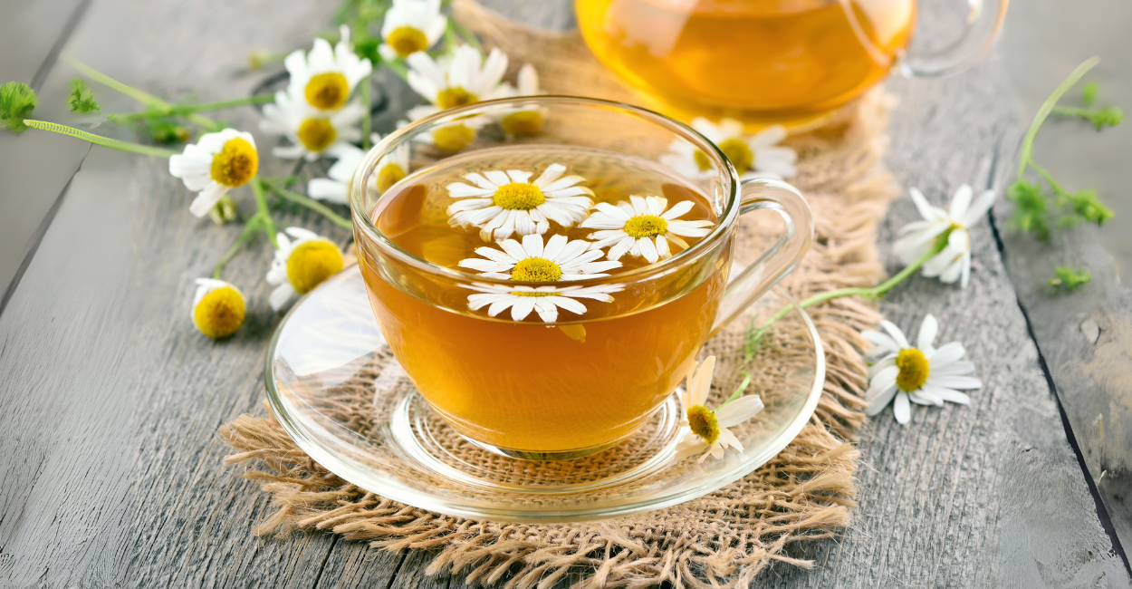 Descubra o Segredo Para Cultivar Camomila em Casa e Ter Flores Perfumadas o Ano Todo!