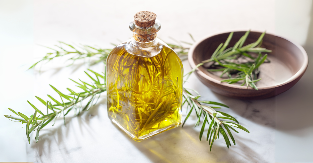 Alecrim na cozinha: aromatize seus pratos com estilo